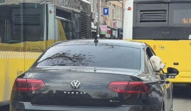 ‘Yeni başkan, eski başkanın makam aracını köpeğine tahsis etti’ iddiası