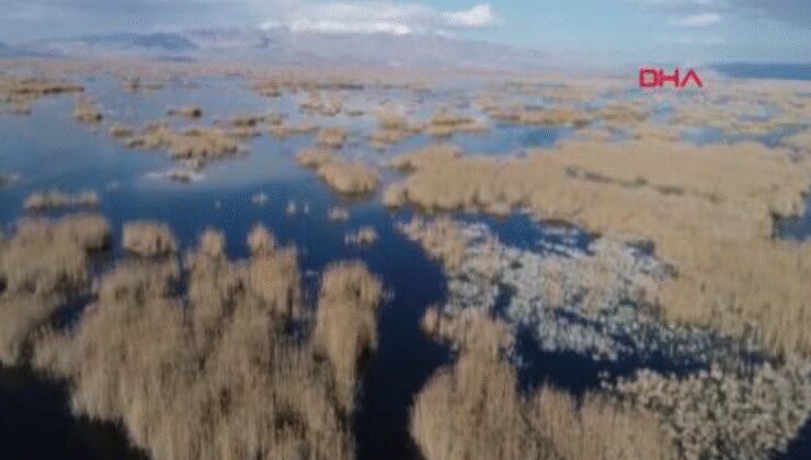 Eber Gölü'ne 'giriş yasağı' kaldırıldı