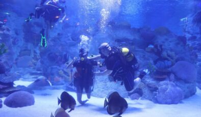 Engelliler, su altı dalışı yaparak yeteneklerini sergiledi