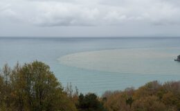 Göz gözü görmüyor: Uçak seferleri aksadı!