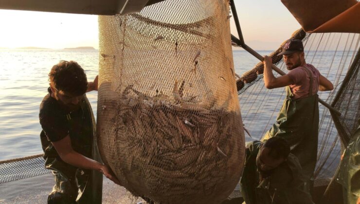 Hamsi Karadeniz’i terk etti: Tezgâhlarda fiyatlar uçuşa geçti