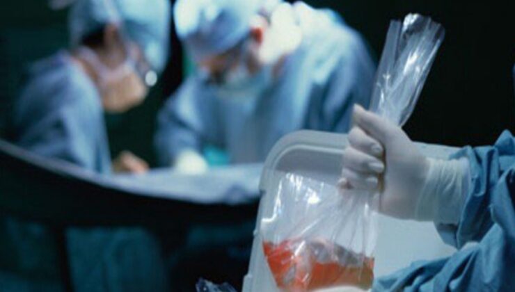 Hastaya nakledilen böbrek kuduzlu çıktı: Hayatı son buldu
