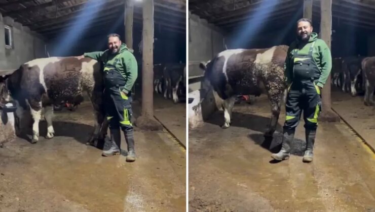 Hayvanıyla video çekip asgari ücretle ilgili yaptığı kıyasa tepki var