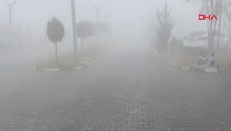 Iğdır'ı sis bürüdü: Görüş mesafesi 5 metreye düştü