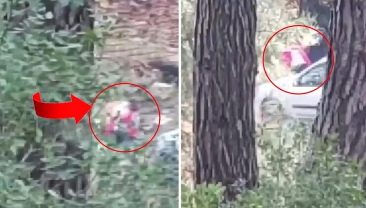 İzmir'de ormanda çekildi… Kadının 'İmdat' çığlığını duyan vatandaş hemen polisi aradı