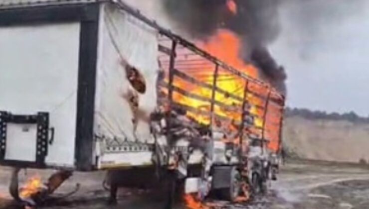 Kağıt yüklü TIR'ın dorsesi küle döndü