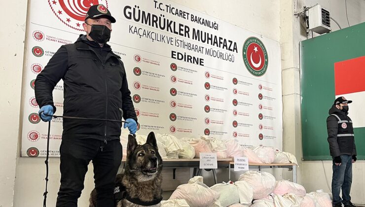 Kapıkule’de TIR'dan 2,5 milyon uyuşturucu hap ve 16 kilo sentetik esrar çıktı