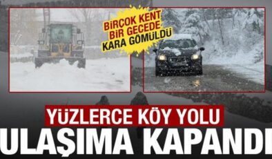 Kastamonu, Bitlis, Muş, Van… Kar bir gecede bastırdı: Yüzlerce köy yolu ulaşıma kapandı