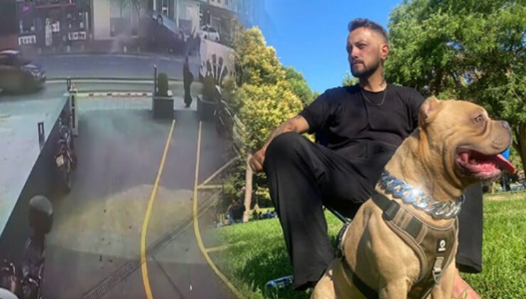 Köpeğini gezdirirken felaketi yaşadı: Şişli'deki kazada Hakan öldü Pablo kayıp!
