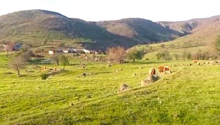 Köylünün kararlılığı madeni durdurdu