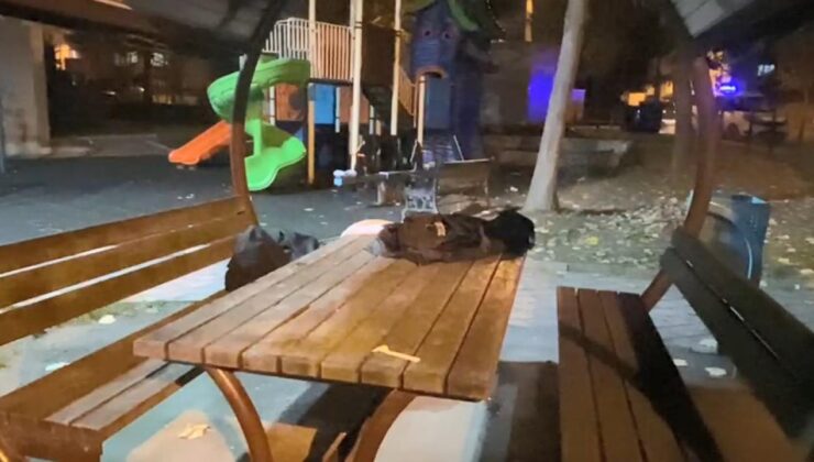 Liselilerin kavgası kanlı bitti! Bir öğrenci yaralı