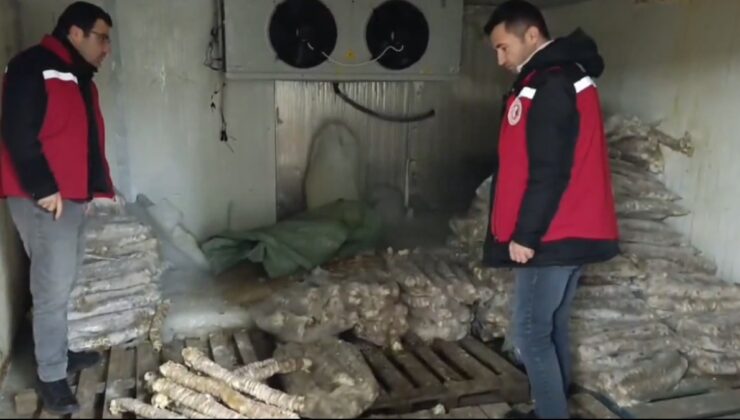 Manisa’da 4 milyon lira değerinde bozulmuş kokoreç ele geçirildi