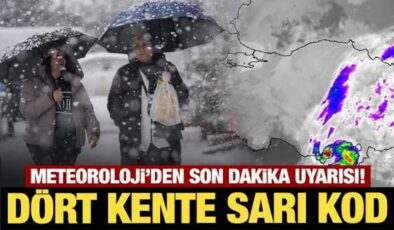 Meteoroloji’den son dakika kar yağışı uyarısı! Dört kente sarı kod