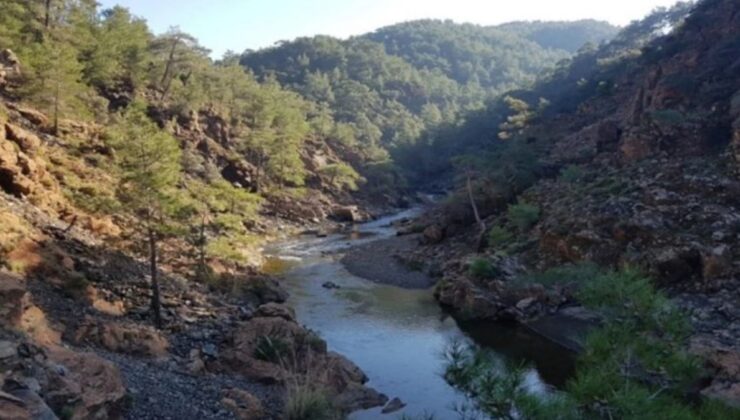 Muğla’da kazanan doğa ve vatandaşlar oldu