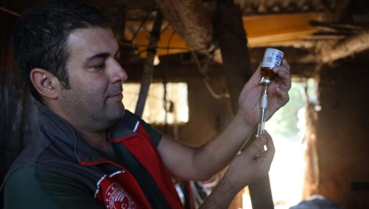 Muğla'da 11 mahalle karantinaya alındı