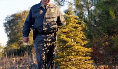 Orman Genel Müdürlüğü 26 işçi istihdam edecek