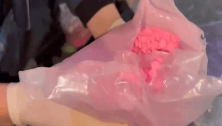 Pendik'te 19 bin 800 adet uyuşturucu hap yakalandı