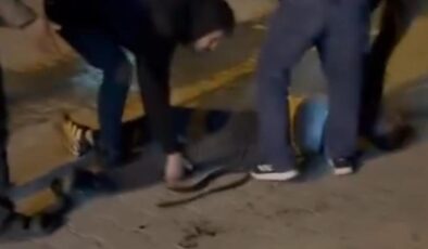 Şanlıurfa’da bıçaklı kavga: 3 yaralı