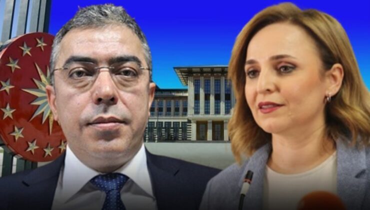 Saray Başdanışmanının DEM'i kızdıran yazısı