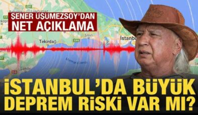 Şener Üşümezsoy’dan İstanbul açıklaması: Büyük deprem riski yok