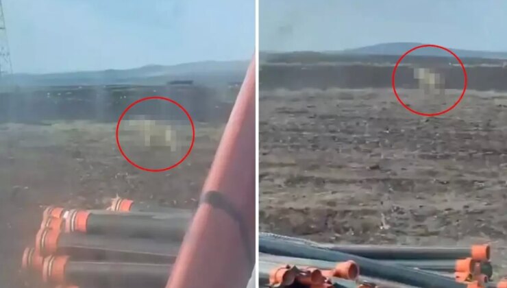 Sivas’ta tarlasını süren çiftçiyi ürküten görüntü