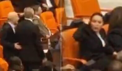 TBMM Genel Kurulu'nda Ayyüce Türkeş ve Sırrı Sakık birbirine girdi