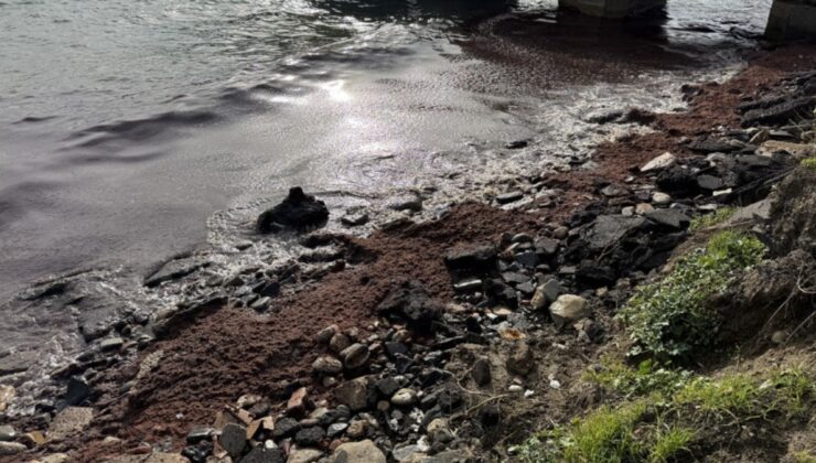 Tekirdağ'da poyraz sahile kırmızı yosun taşıdı