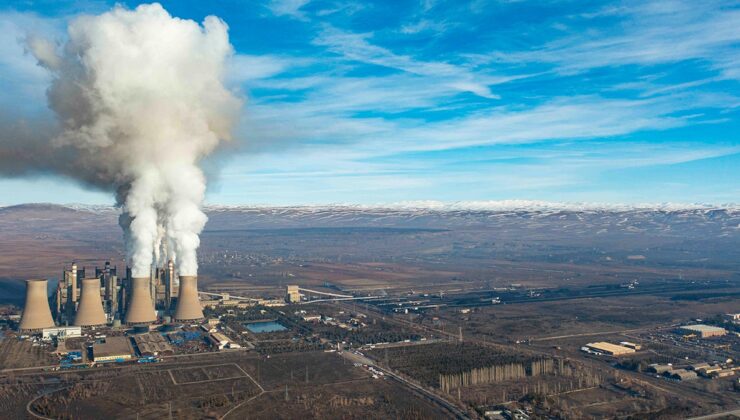 TEMA: Tehlike büyük, kaybedecek vaktimiz yok