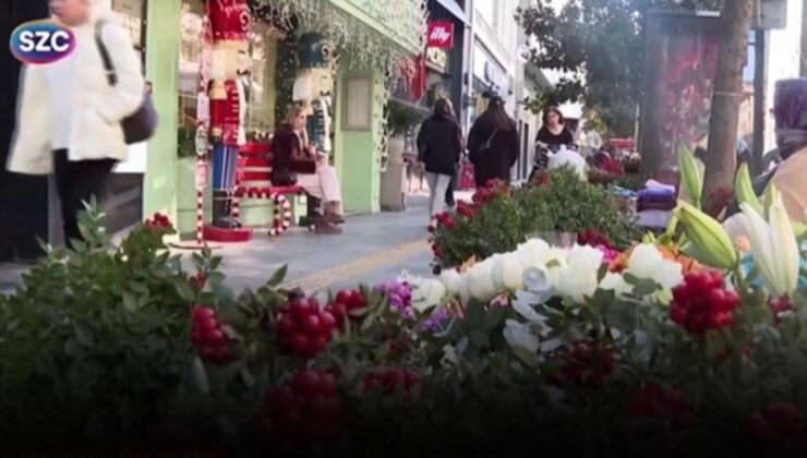 Toplaması dert alması lüks! Yeni yılın umut çiçeği Kokina