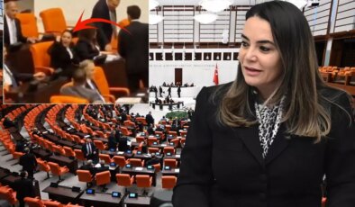 Türkeş’in kızının Öcalan için söyledikleri Meclis’i karıştırdı