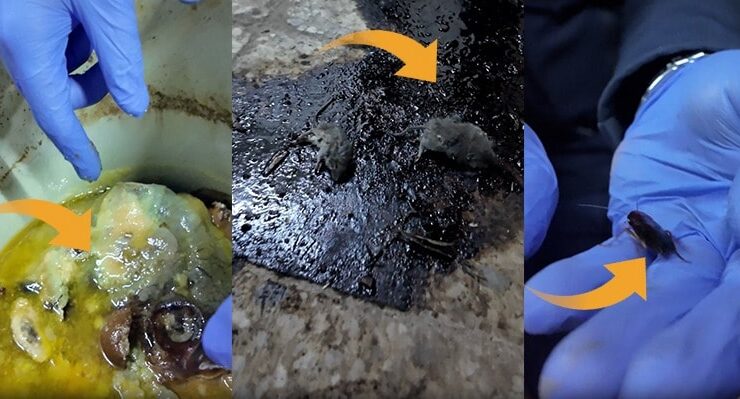 Türkiye gıda zehirlenmelerini konuşurken belediye iğrenç görüntüleri ifşa etti!