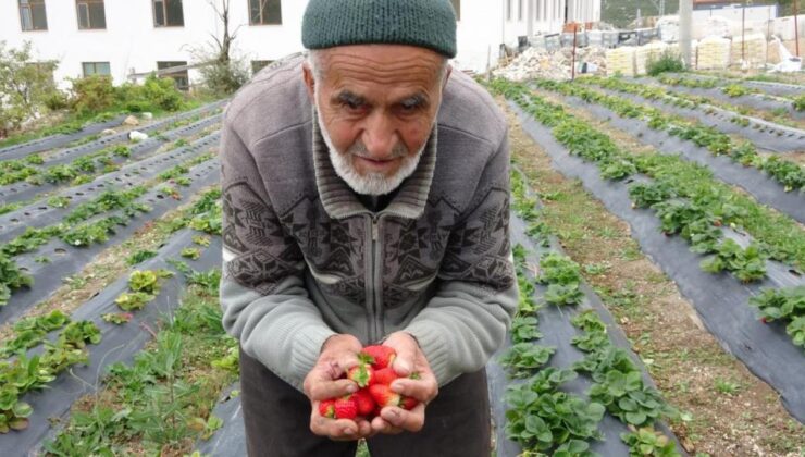 Türkiye onu konuşmuştu! ‘İbrahim Dede’den acı haber