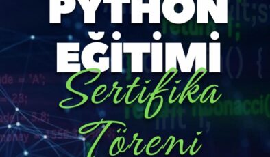 Uluslararası öğrencilere Python eğitimi