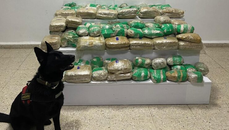 Van Başkale’de 51 kilo 275 gram skunk ele geçirildi