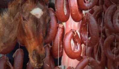 Vatandaşa at eti yedirmişler! Bakanlık, markayı da üretildiği ili de ifşa etti