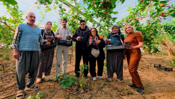 Yiyenlere şifa saçıyor: Kilosu 130 liraya fırladı, üreticinin yüzü güldü