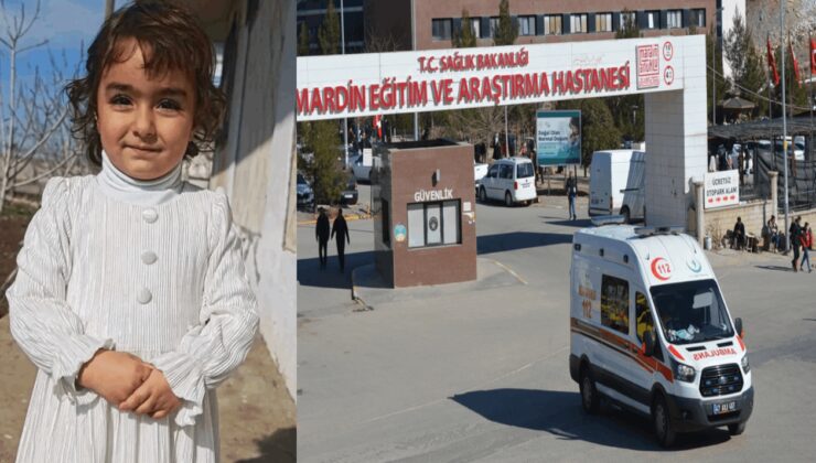 4 yaşındaki Nazlı'ya sokak köpekleri saldırdı!