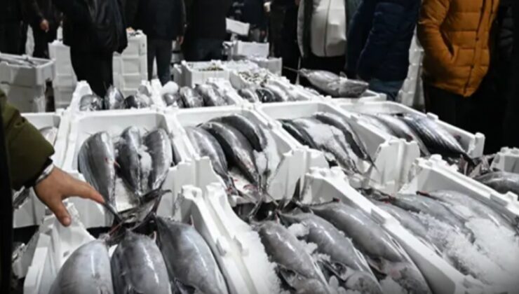 40 yıl sonra İstanbul'a döndü: Fiyatı 3500 TL