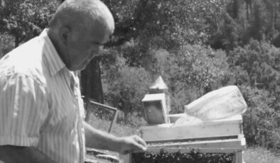 65 yaşındaki adamın feci ölümü: Ağacın altında kaldı!