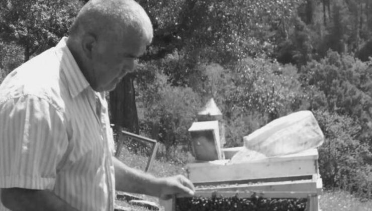 65 yaşındaki adamın feci ölümü: Ağacın altında kaldı!