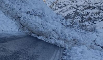 AFAD uyarmıştı! Hakkari-Çukurca kara yoluna çığ düştü