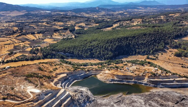 Akbelen’de süreç zeytin talanına dönüştü, acil toplantı çağrısı yapıldı