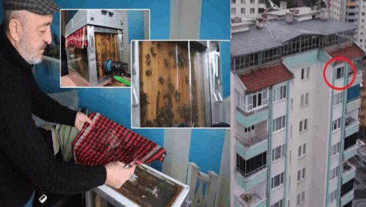 Akıl almaz olay: 15. kattaki evine arı kovanı sitemi kurdu!