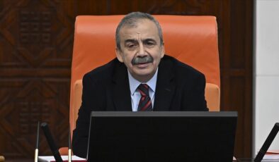 AKP ile MHP arasında Sırrı Süreyya Önder çatlağı