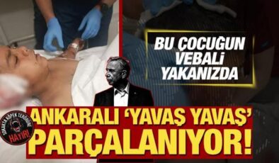 Ankaralı ‘Yavaş Yavaş’ parçalanıyor! ABB seyrediyor başıboş köpek terörü yayılıyor