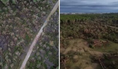 Antalya’da hortumun zarar verdiği ormanlık alan havadan görüntülendi