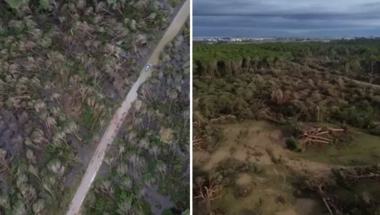 Antalya’da hortumun zarar verdiği ormanlık alan havadan görüntülendi