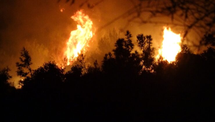 Antalya'da ormanlık alanda yangın!