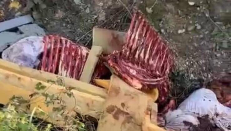 At kestikleri öne sürülen 2 şüpheli, operasyonla yakalandı