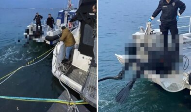 Balıkçılar, denizde dalgıç kıyafetli erkek cesedi buldu